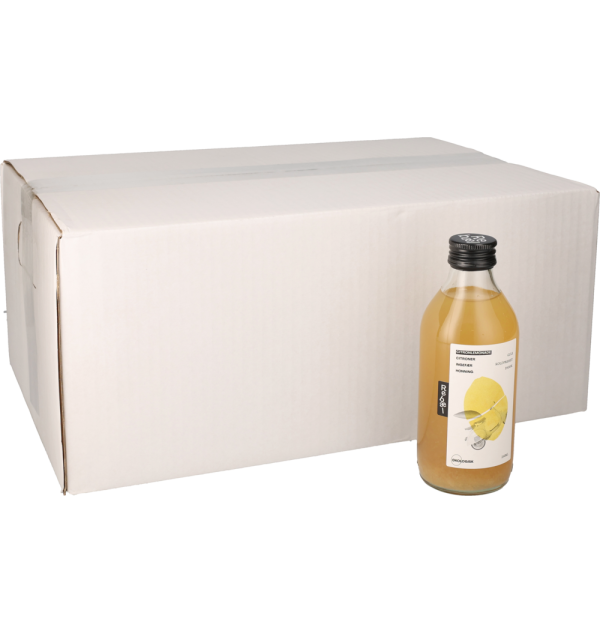 REBAL LEMON CITRON 25CL OKO